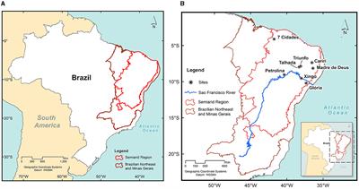 Greening and Water Use Efficiency during a period of high frequency of droughts in the Brazilian semi-arid